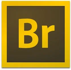 Adobe Bridge 2025 v15.1.2